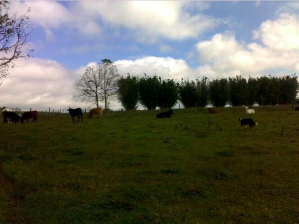 Venda Chácara Santa Maria - RS